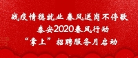 戰(zhàn)疫情穩(wěn)就業(yè) 春風送崗不停歇 泰安市2020春風行動“掌上”